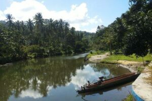 6 Fakta Menarik Kabupaten Konawe, Lumbung Padi di Sulawesi Tenggara